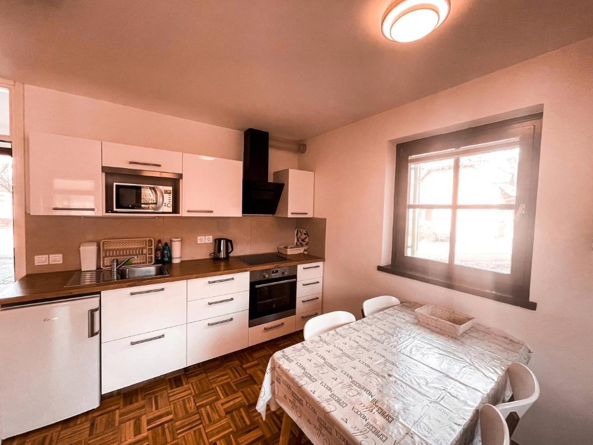 Mad House Apartment 1, Terme Catez Catez ob Savi Dış mekan fotoğraf